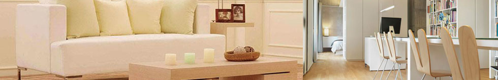ľӿxbanner